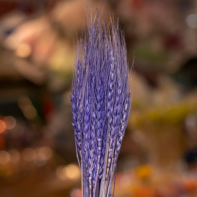 Wedding Centerpieces Decorative Natural Dry Wheat Bunches Grass Stalks Decor Sheaves Dried Wheat Flowers