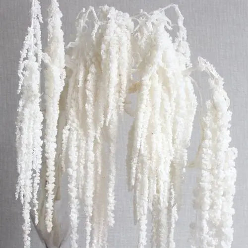 DIY Flower Material Decor Arrangement  Dried Flowers Bleached Hanging Preserved Lover's Tear Amaranthus