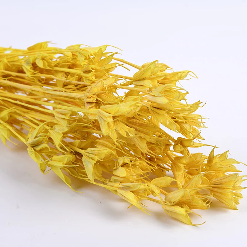 Cheap Wholesale Real Natural Bleached Preserved Flowers Octagonal Bouquet Florals Dried Octagon Flower