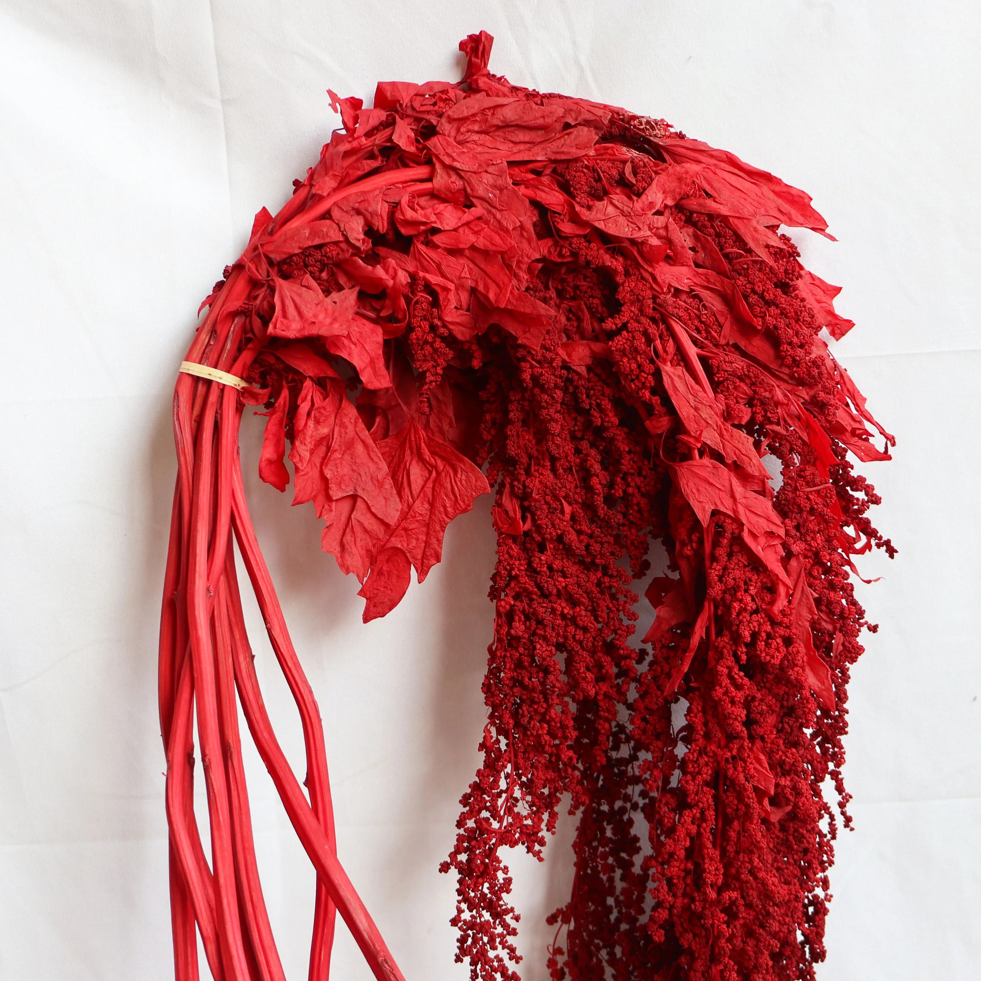 Ins Hot Selling DIY Material Dried Flowers Arrangement Cheap Natural White Preserved Hanging Amaranthus For Decoration