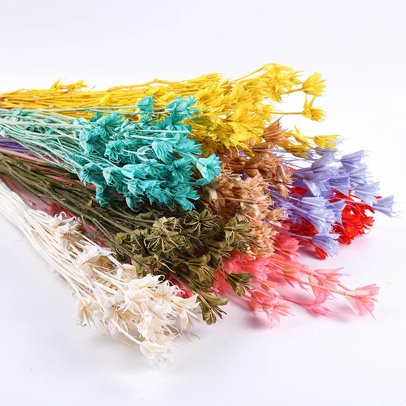 Cheap Wholesale Real Natural Bleached Preserved Flowers Octagonal Bouquet Florals Dried Octagon Flower