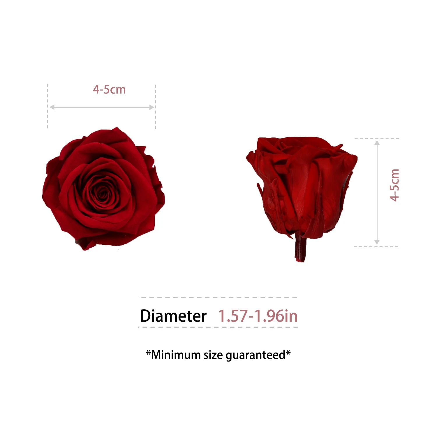 Infinity Long Lasting Dried Forever Eternal Flower Buds Preserved Roses Head for Flower Decoration