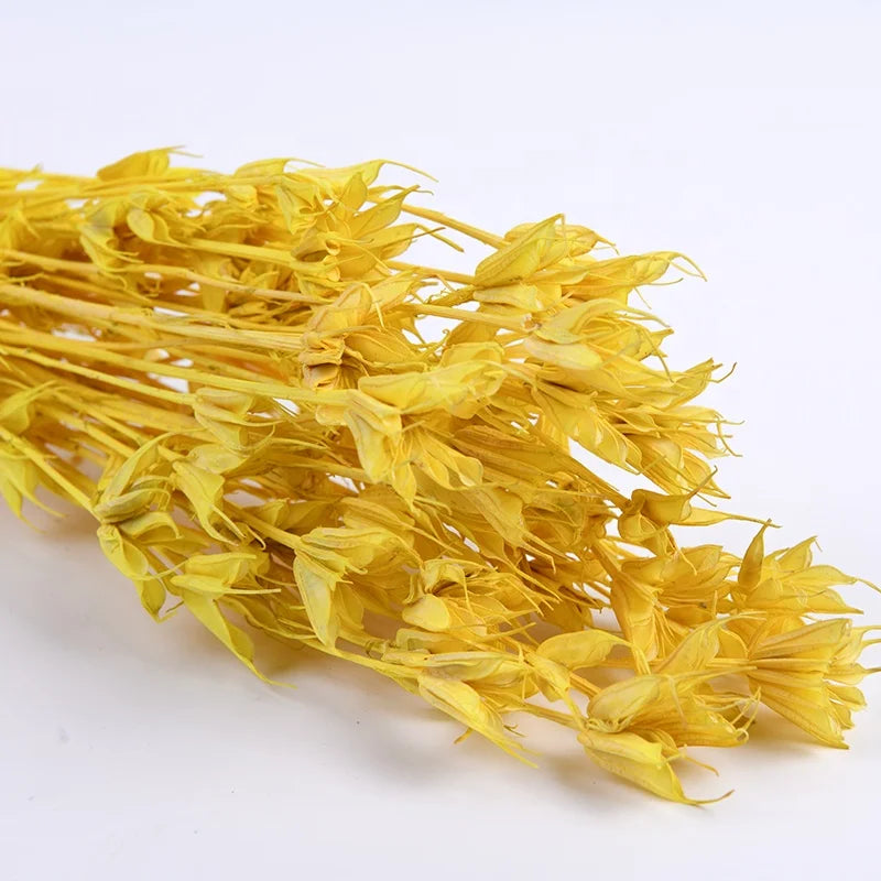 Cheap Wholesale Real Natural Bleached Preserved Flowers Octagonal Bouquet Florals Dried Octagon Flower
