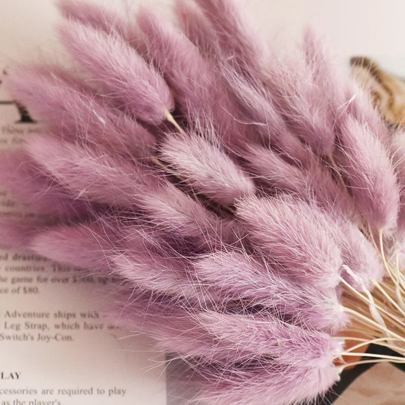 Factory Supply High Quality New Orange Gold Color Natural Phalaris Lagurus Dried Round Bunny Tails Flower