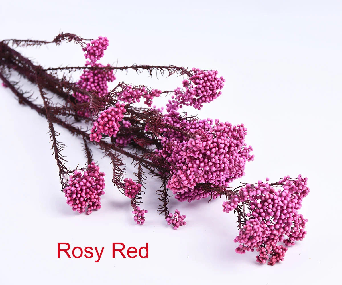 White Preserved Rice Dried Flowers for Wedding Ceremony Decoration Factory Wholesale Dry Natural Decorative Flowers & Wreaths