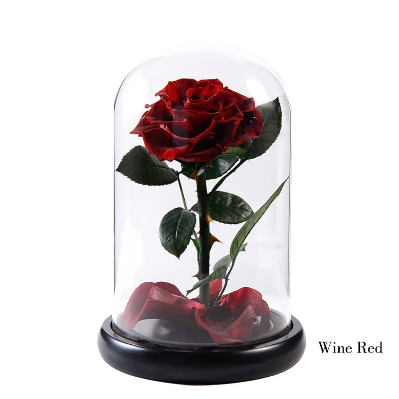 Wholesale Cheap Price Handmade Beauty Beast Rose long lasting Preserved flowers in Glass tube