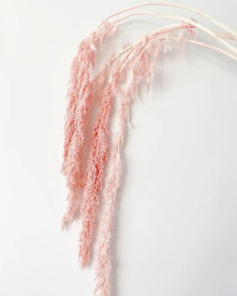 DIY Flower Material Decor Arrangement  Dried Flowers Bleached Hanging Preserved Lover's Tear Amaranthus