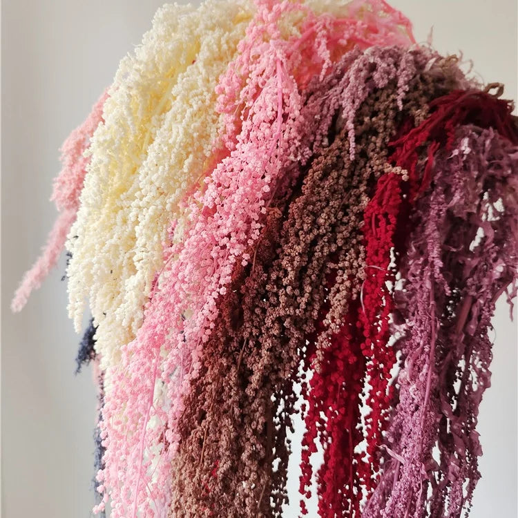 Ins Hot Selling DIY Material Dried Flowers Arrangement Cheap Natural White Preserved Hanging Amaranthus For Decoration
