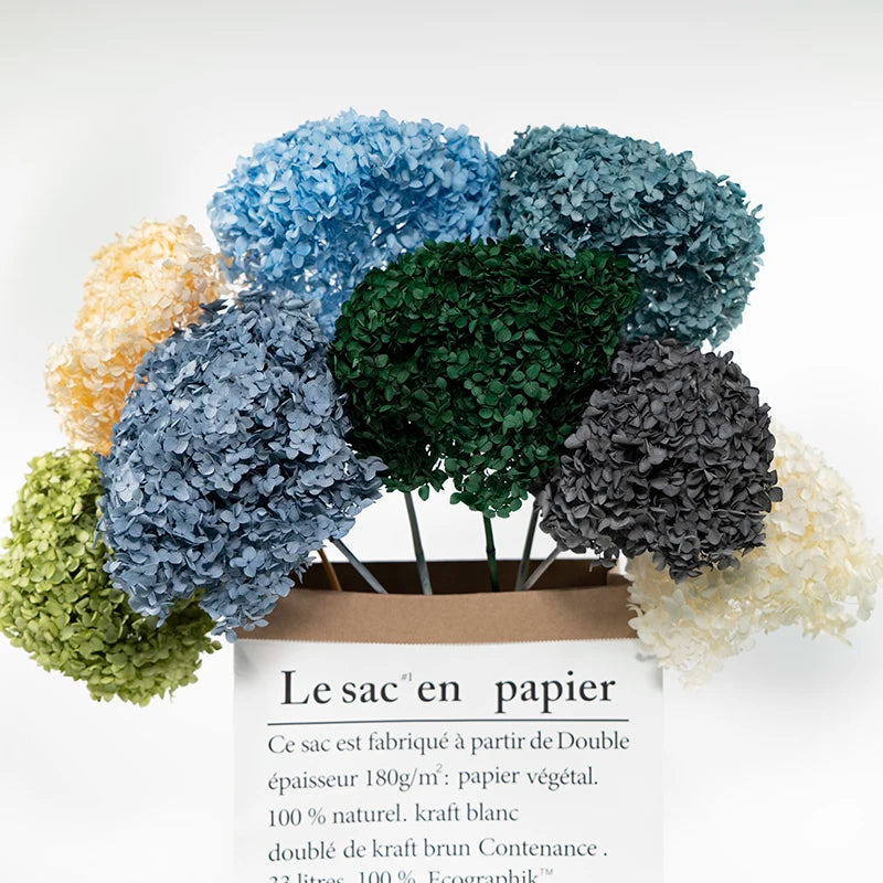 DIY Material Immortal Preserved Real Hydrangea Artificial Flower the Colorful Forever Lasting Hydrangea with Branches
