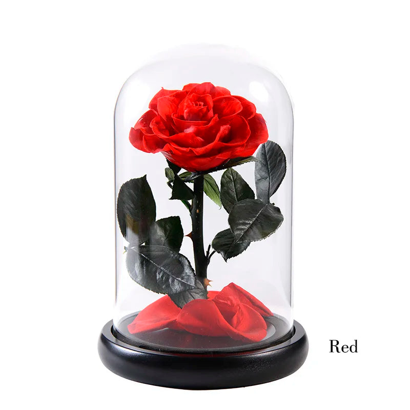 Wholesale Cheap Price Handmade Beauty Beast Rose long lasting Preserved flowers in Glass tube