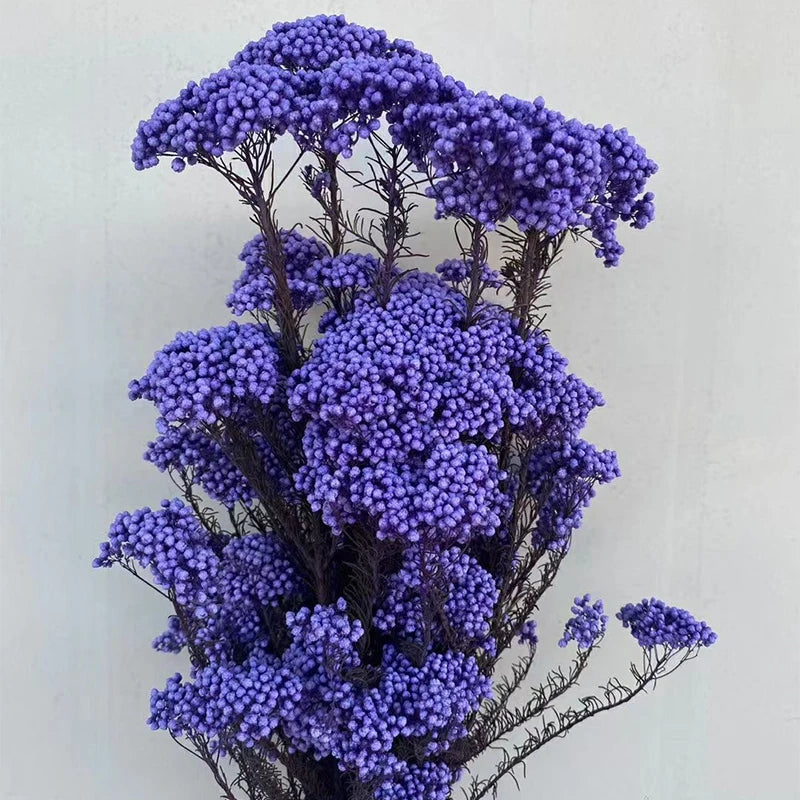 White Preserved Rice Dried Flowers for Wedding Ceremony Decoration Factory Wholesale Dry Natural Decorative Flowers & Wreaths