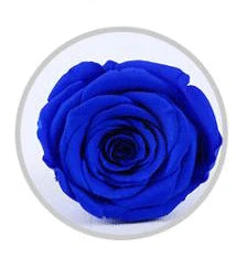 Wholesale China A grade handmade preserved roses  music box  eternal  natural flower in glass