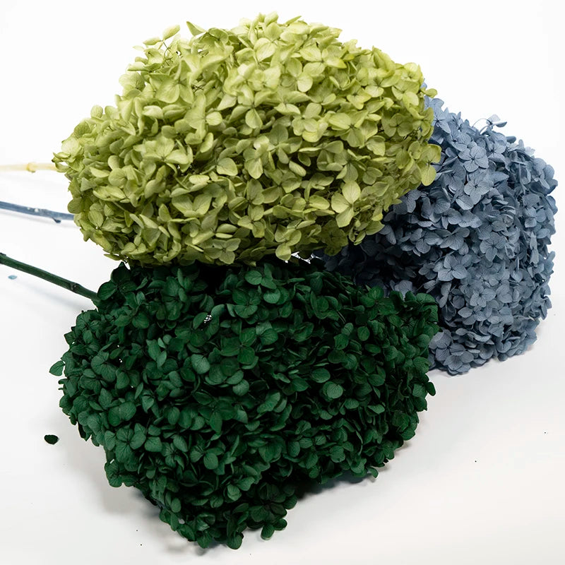 DIY Material Immortal Preserved Real Hydrangea Artificial Flower the Colorful Forever Lasting Hydrangea with Branches
