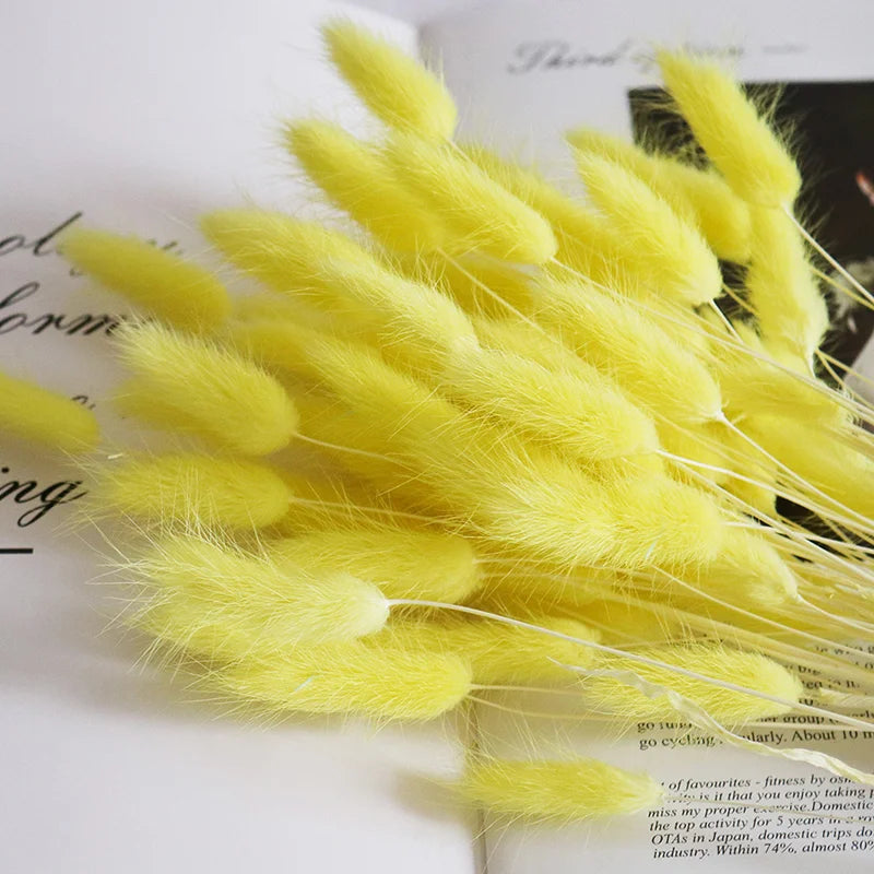 Factory Supply High Quality New Orange Gold Color Natural Phalaris Lagurus Dried Round Bunny Tails Flower