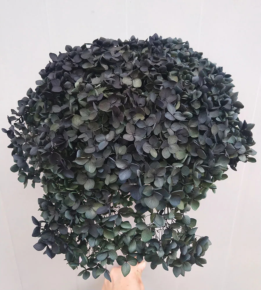 DIY Material Immortal Preserved Real Hydrangea Artificial Flower the Colorful Forever Lasting Hydrangea with Branches
