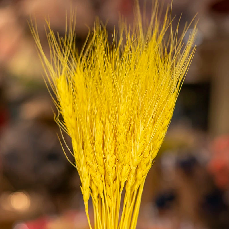 Wedding Centerpieces Decorative Natural Dry Wheat Bunches Grass Stalks Decor Sheaves Dried Wheat Flowers