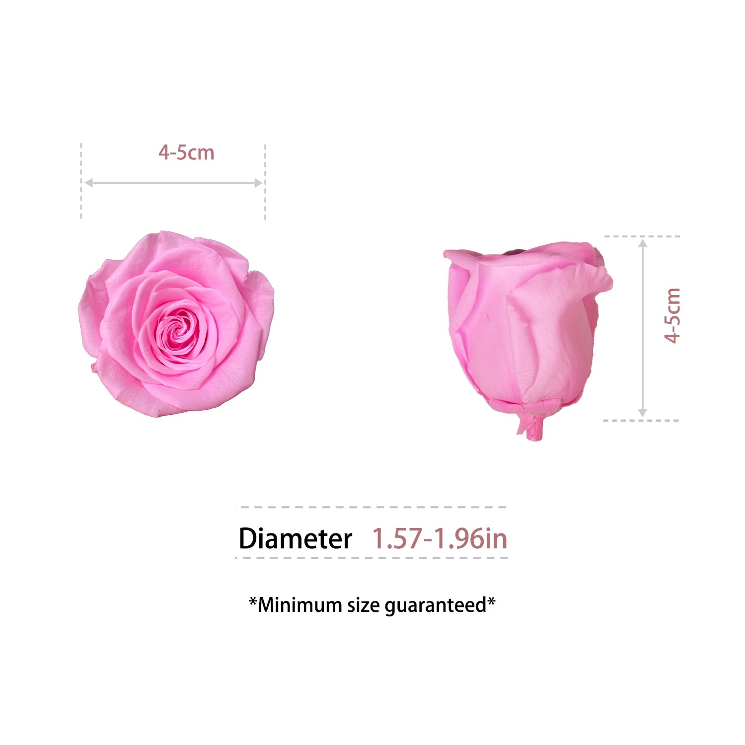 Infinity Long Lasting Dried Forever Eternal Flower Buds Preserved Roses Head for Flower Decoration