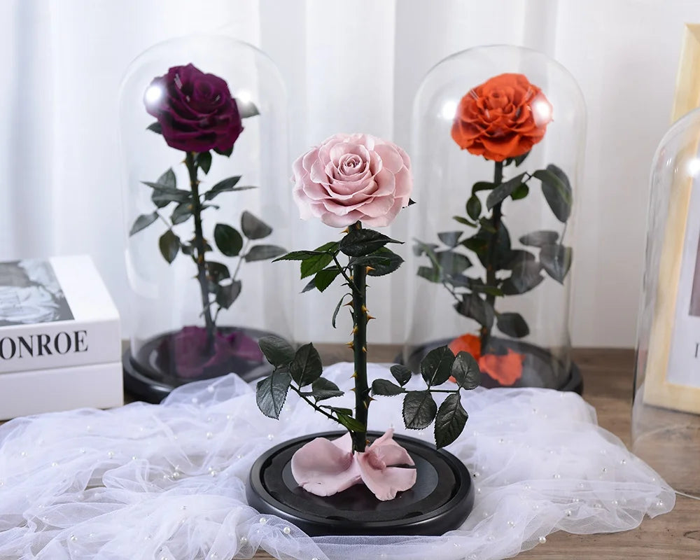 Original Factory Price Red Real Long Stem Glass Flower Little Prince Eternal Preserved Roses in Glass Tube