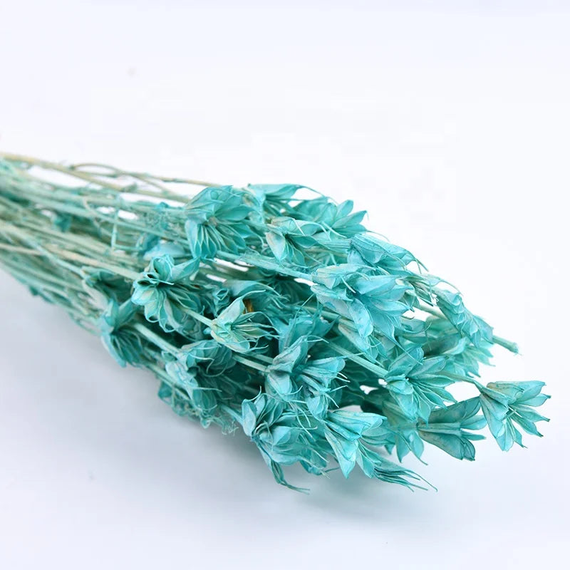 Cheap Wholesale Real Natural Bleached Preserved Flowers Octagonal Bouquet Florals Dried Octagon Flower