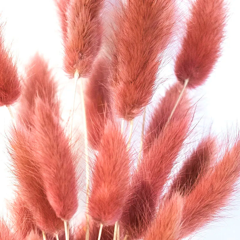 Boho Wedding Decor Bridal Bouquet Dusty Pink Dried Flowers 60 Natural Phalaris Lagurus Dried Bunny Tails