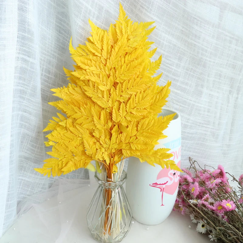 10pcs Natural Fresh Eternal Flower Preserved Fiddlehead Ferns Leaves for Wedding Dome Decoration Accessories
