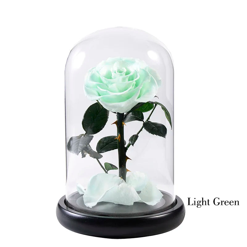 Wholesale Cheap Price Handmade Beauty Beast Rose long lasting Preserved flowers in Glass tube