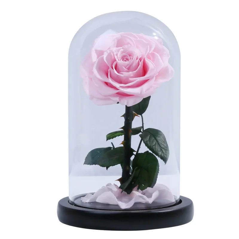 A grade beautiful enchanted preserved flowers in glass princekin festival gift