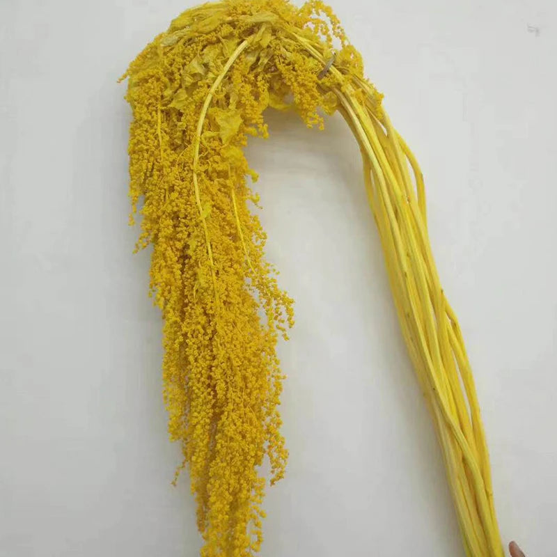 Ins Hot Selling DIY Material Dried Flowers Arrangement Cheap Natural White Preserved Hanging Amaranthus For Decoration