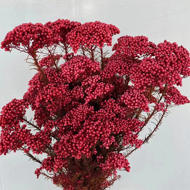 White Preserved Rice Dried Flowers for Wedding Ceremony Decoration Factory Wholesale Dry Natural Decorative Flowers & Wreaths