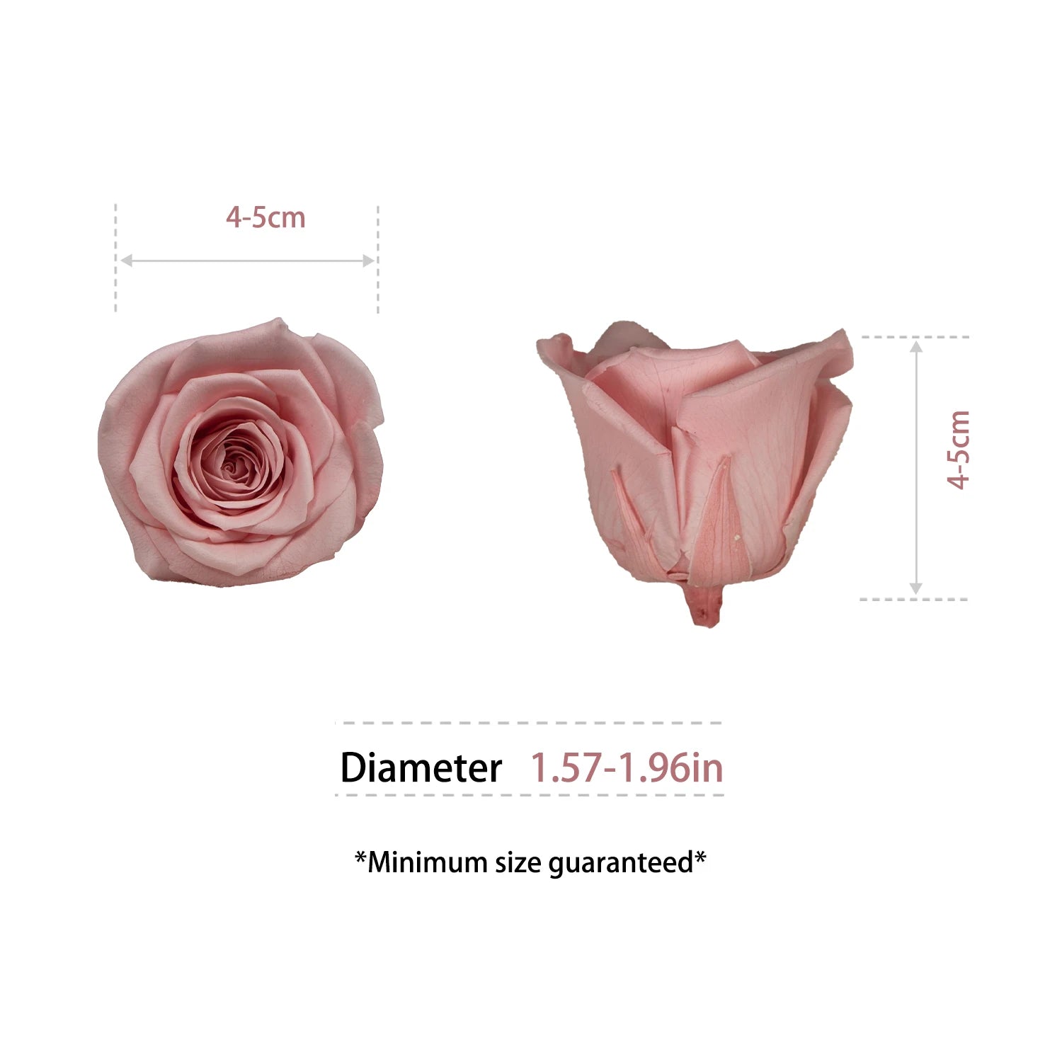 Factory Wholesale Preserved Flowers Eternity Roses Eternal Forever Roses Heads 4-5cm Preserved Rose Head