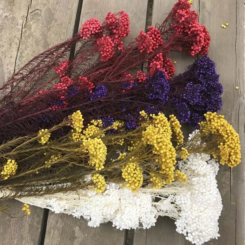 White Preserved Rice Dried Flowers for Wedding Ceremony Decoration Factory Wholesale Dry Natural Decorative Flowers & Wreaths