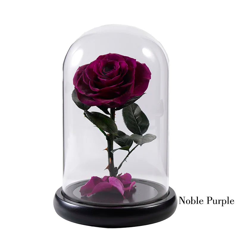 Wholesale Cheap Price Handmade Beauty Beast Rose long lasting Preserved flowers in Glass tube