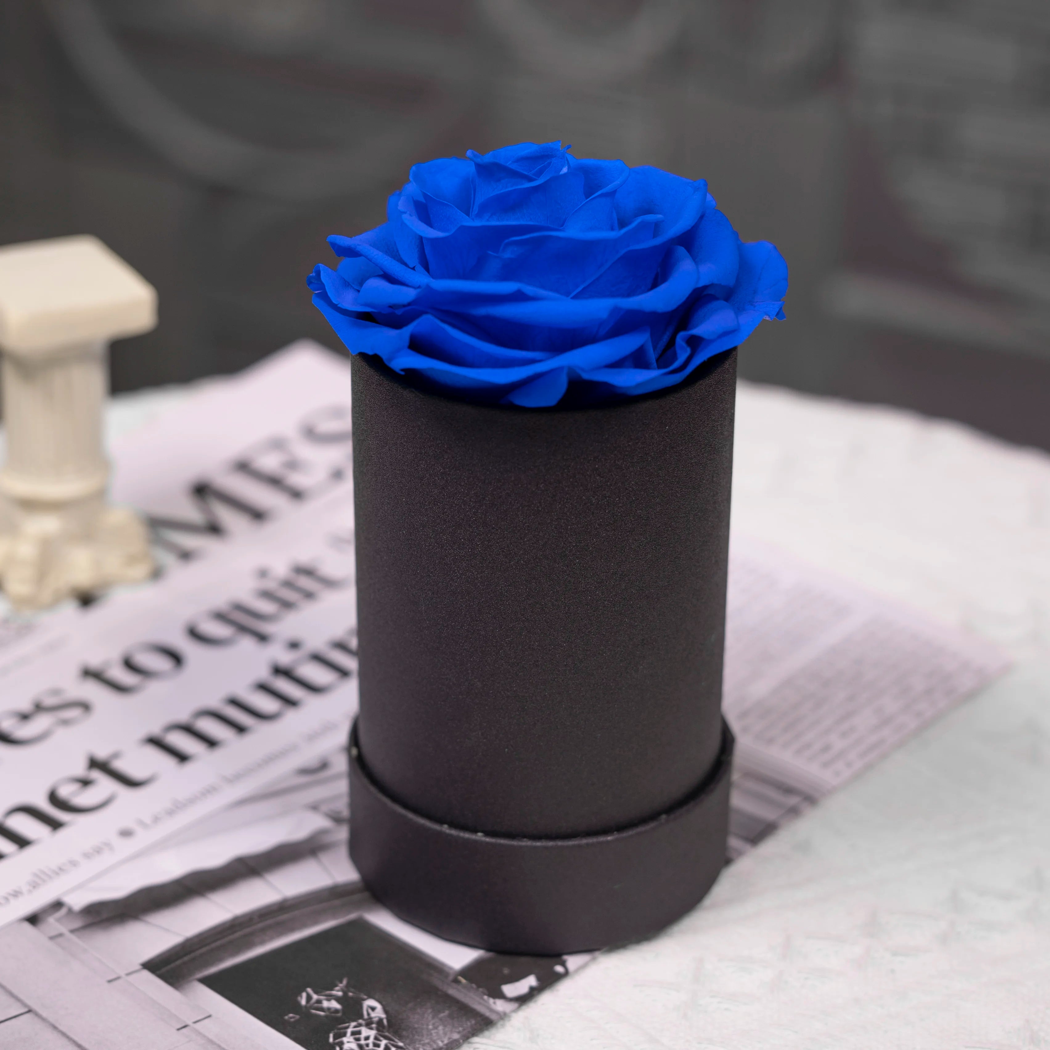 Hot Real Natural  Everlasting Eternal Single Preserved Roses for Valentine Gifts
